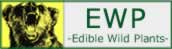 EWP